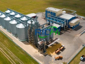 From Grain to Growth: How Smart Feed Manufacturing Creates Stronger Poultry Businesses