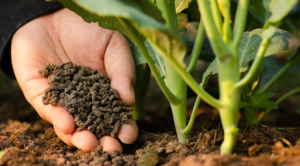 How Organic Fertilizer Pellets Reduce Farm Waste