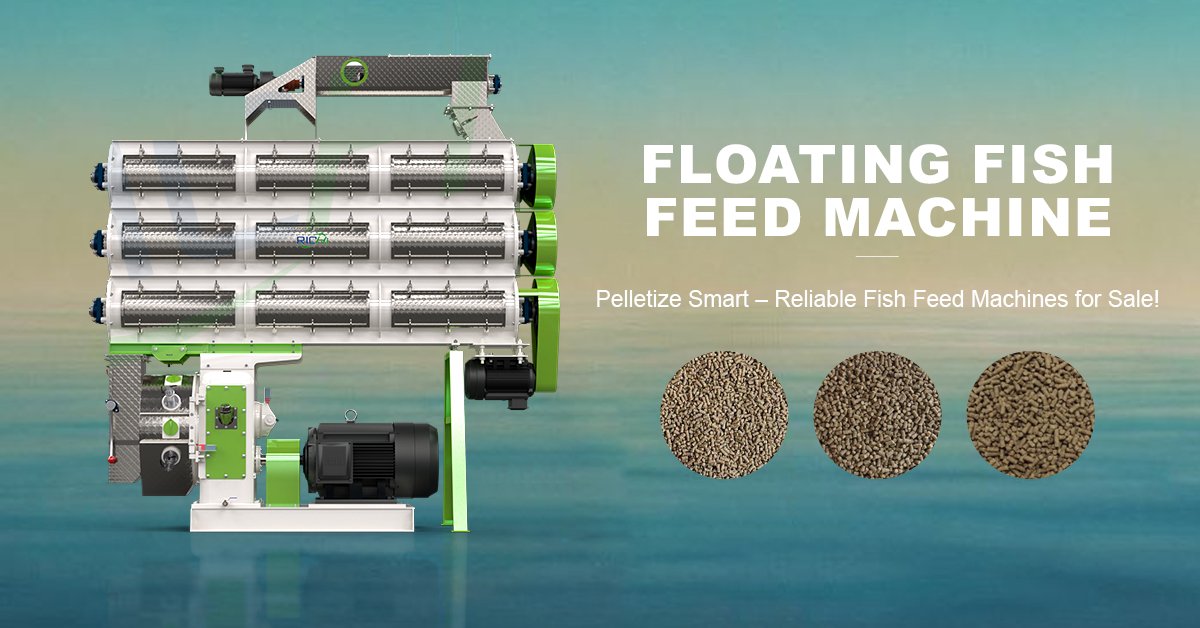 shrimp feed making machine for sale