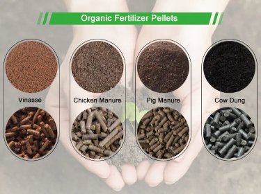 Various raw materials and finished pellets of organic fertilizer for pellet mill production