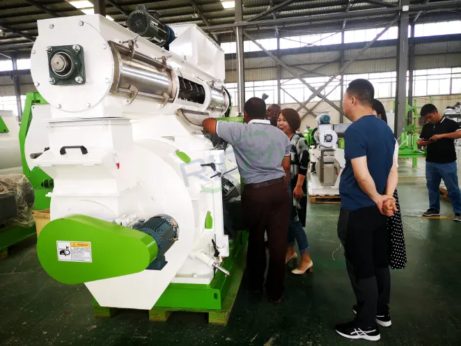 Organic fertilizer and animal feed pellet production line in Zimbabwe, site inspection of pellet making machine