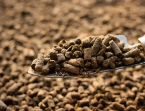 cow dung pellets